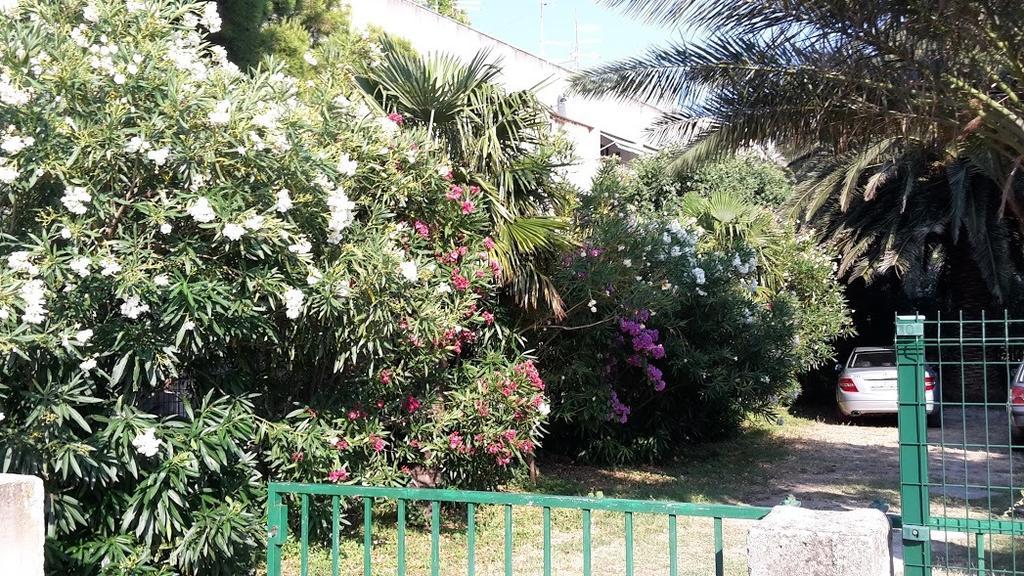 Sabina Apartments أوميس الغرفة الصورة